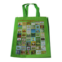 滁州LB11覆膜无纺布广告袋